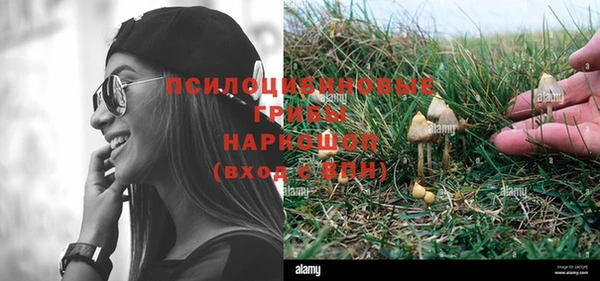 кокс Баксан