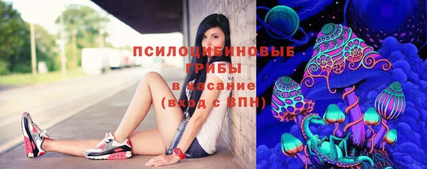 кокс Баксан