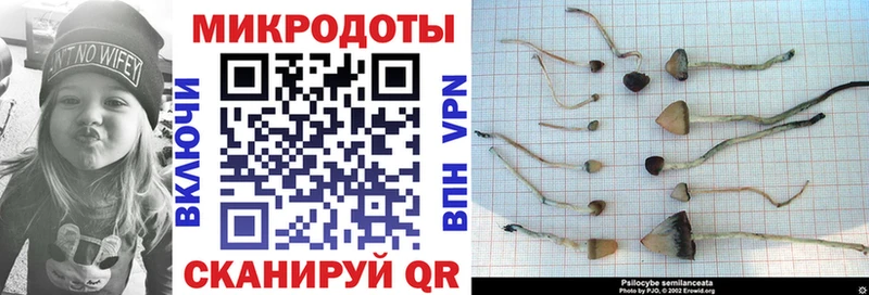 где купить наркотик  Спас-Деменск  Псилоцибиновые грибы мицелий 